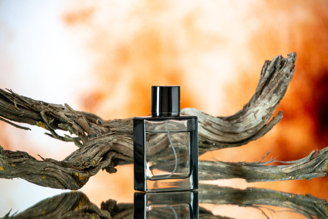 The Power of Fragrance – Finding the Perfect Perfume for You